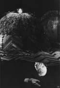 t0840022557.jpg