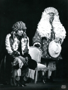 t0813015489001.jpg