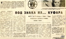 t0810019393001.jpg